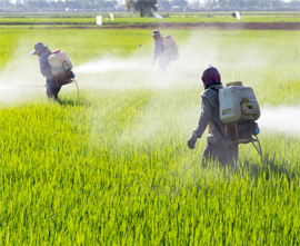 Fumigation